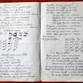 Giesmių melodijos iš Lietuvių literatūros ir tautosakos instituto rankraščių fondo (F1-547).