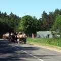 Žygio dalyviai jau Anykščių mieste.