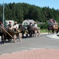 Eismas transporto žiedu galioja ir kinkiniams.