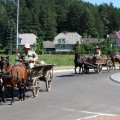 Eismas transporto žiedu galioja ir kinkiniams.