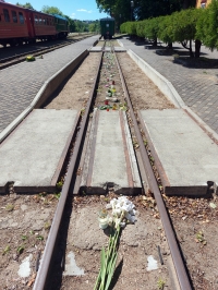 Siauruko bėgius birželio 14-ąją kasmet puošia gėlių žiedai.