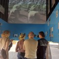 Kino paroda A. Baranausko aikštėje.