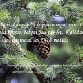 Anykščių A. Baranausko pagrindinės mokyklos bendruomenės sveikinimas.
