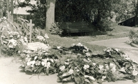 1957-ųjų vasaros pabaiga. Gėlės ant Rašytojo kapo dar nenuvytusios, stovi ir kryželis.