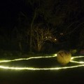 Kalėdinė šviesos instaliacija B. Buivydaitės sode.