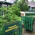 Knygų namelis rašytojos Bronės Buivydaitės memorialinėje sodyboje.
