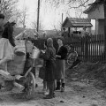 Jono Biliūno vidurinės mokyklos mokiniai ir Anykščių medelyno darbuotojai talkininkauja prie klėtelės 1962 m.