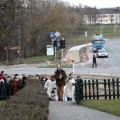 Didžiojo Penktadienio Kryžiaus Kelias į Rašytojų kalnelį.