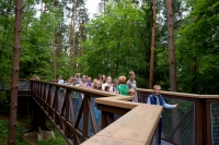 Programa skiriama Medžių lajų tako lankytojams.