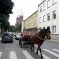 Dvi šventės dienas Anykščių miesto gatvėmis važinėjo Arklio muziejaus organizuotas arklių taksi.