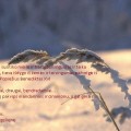 Gražinos Nargelienės, Anykščių rajono savivaldybės administracijos skyriaus vedėjos, sveikinimas.