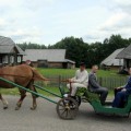 Senąja Niūronių ulyčia Prezidentę pavėžino į bričką įkinkyta kumelė Sigutė, prieš 9 metus nuskriaudusi buvusį šalies prezidentą A. Brazauską.