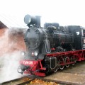 Į Anykščių stotį didingai įdunda vokiškas garvežys GR – „Ferdinandas“. Mano nuotrauka.