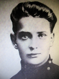 Julius Janonis lavinosi Šiaulių gimnazijoje, rinko tautosaką.