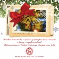 Kauno miesto muziejaus sveikinimas.