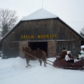 Arklio muziejus laukia žiemą ir vasarą.