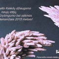 Panevėžio dailės galerijos sveikinimas.