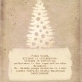 Pasvalio krašto muziejaus bendruomenės sveikinimas.