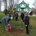 Rašytojų kalnelio sode augs brolių Šaltenių sodinta vyšnaitė.