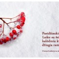 Sveikinimas iš Utenos kraštotyros muziejaus.