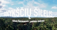 Virtualios realybės patirtis Anykščių šilelyje.