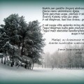 Šventinės mintys iš Liudvikos ir Stanislovo Didžiulių anūkės Irenos Jurevičienės šeimynos.