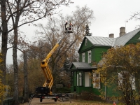 Arboristai – pačioje Baranauskų beržo viršūnėje.