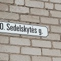 Čekonys, centrinė O. Sedelskytės gatvė.