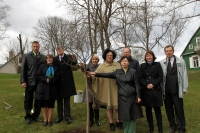 Vilniaus universiteto dienos atminimui A. Vienuolio sodyboje pasodinta slyvaitė.